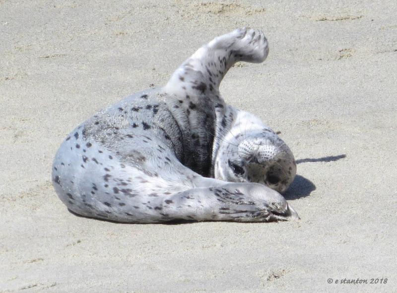 sample images for postbard